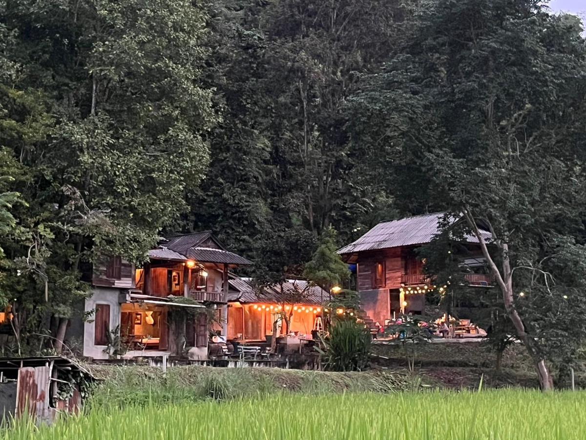 Auberge de jeunesse 467 Chiang Dao Extérieur photo