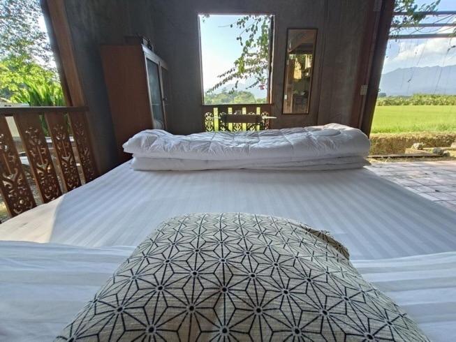 Auberge de jeunesse 467 Chiang Dao Extérieur photo